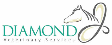 Diamond J Veterinary Services is a mobile equine practice owned and operated by Dr. Jenn Boeche.