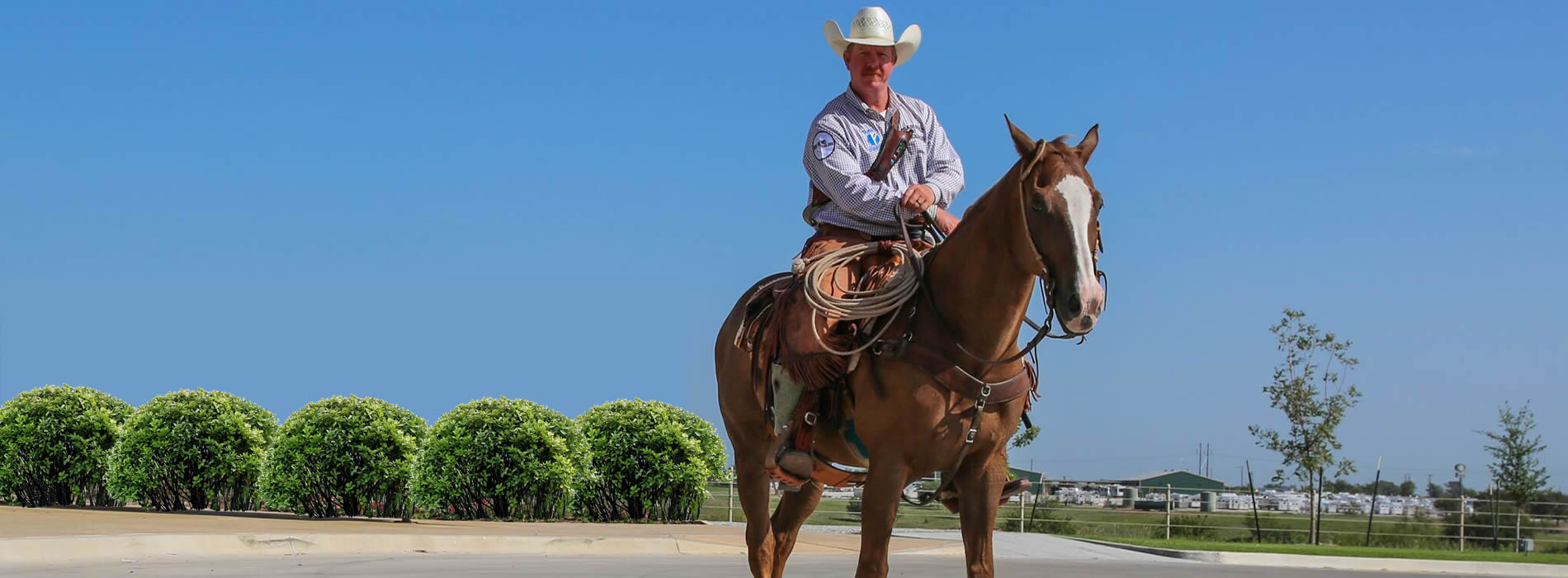 jason terrell diamond j stockdogs texas hangin' tree cowdogs